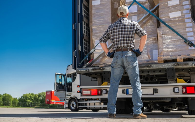 Truck driver inspecting freight deliverables.