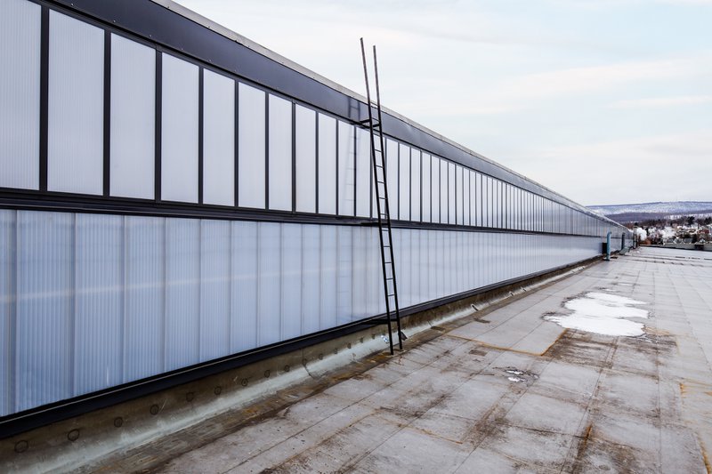 long, flat industrial rooftop with a large, continuous wall of translucent, ribbed panels providing bright, light-diffusing windows for the building below. A lone black service ladder leads up the side under a partly cloudy sky.