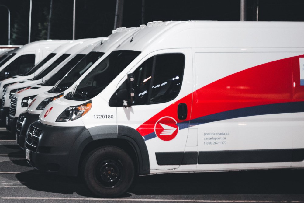 vehicle wraps vs decals