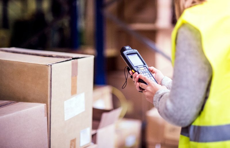 warehouse staff in charge of daily cycle counts