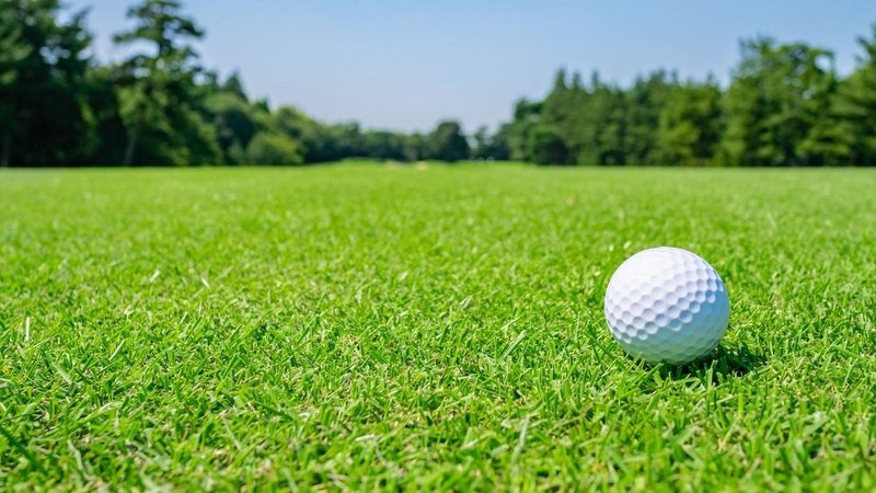 a golf course with beautiful grass thanks to a golf green frost protection covers