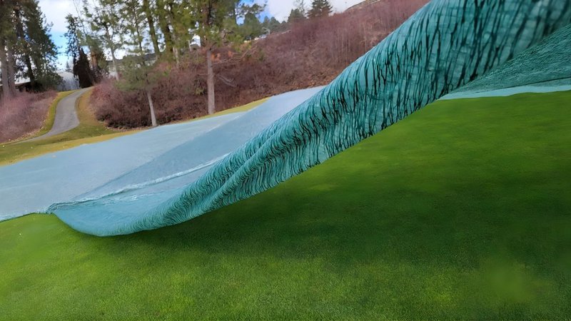 growth blanket creating greenhouse effect to protect turf on a golf green