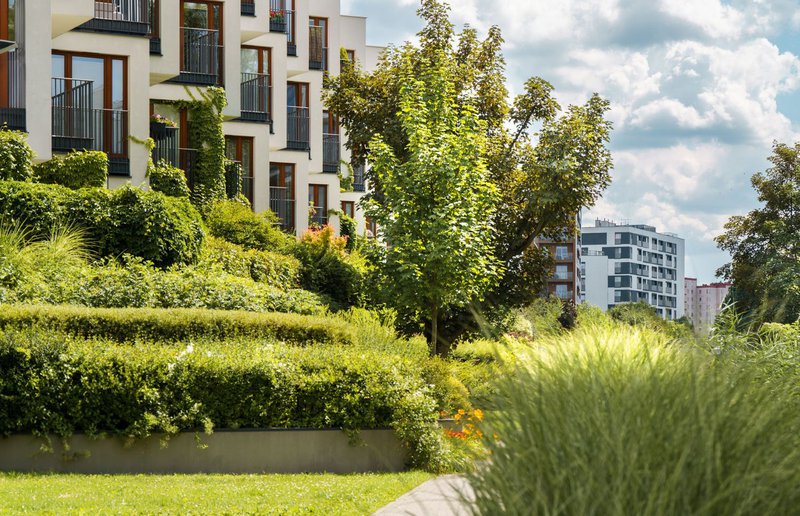 commercial landscape partner in Tracy