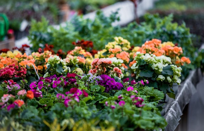 smart landscapes