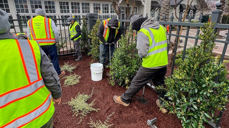 landscape technology