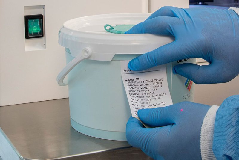 specimen handling protocols