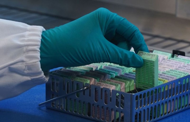 sustainable tissue processing