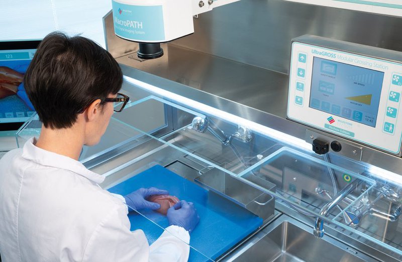 biopsy processing