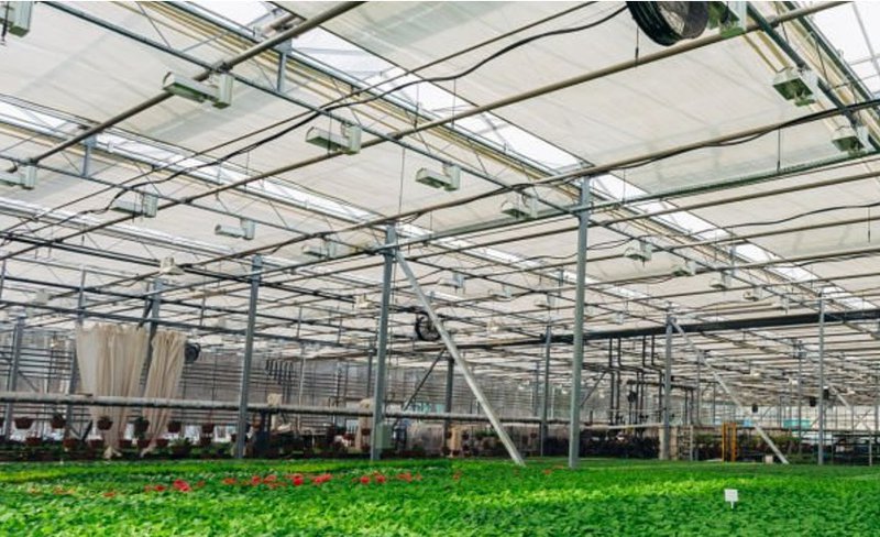 Greenhouse interior with overhead infrared heaters