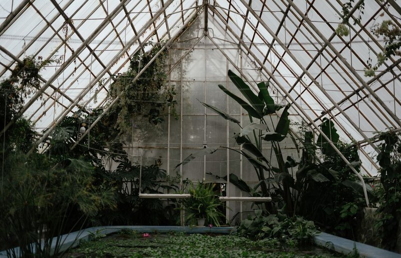 inside a greenhouse with infrared heater