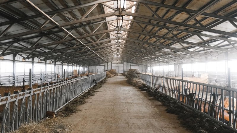 The interior of a long barn with stalls, showing an environment that requires barn heaters.