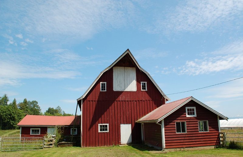 photo of a livestock barn with stall heater inside