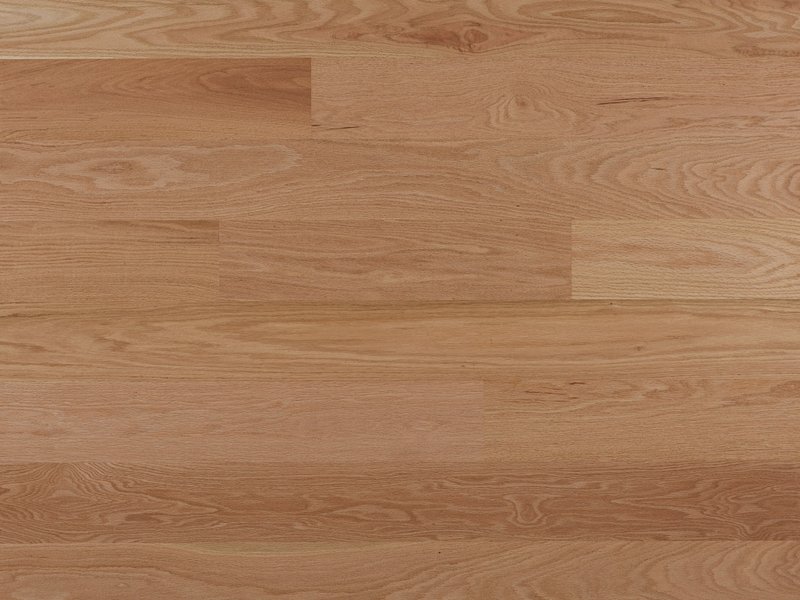 This is a red oak wood sample swatch