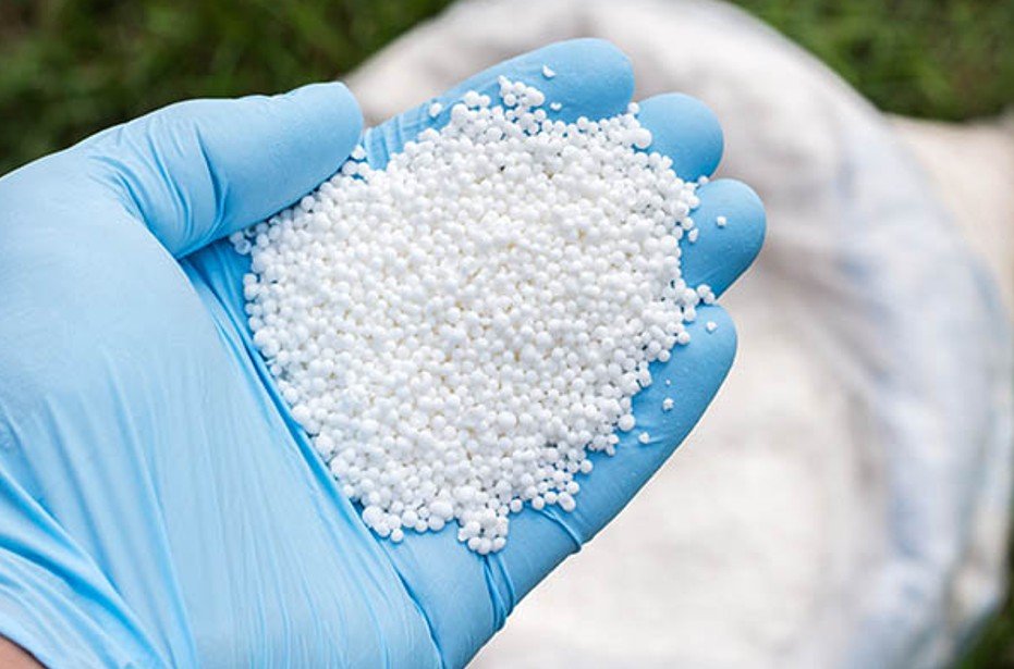 a gloved hands holding a dry substance