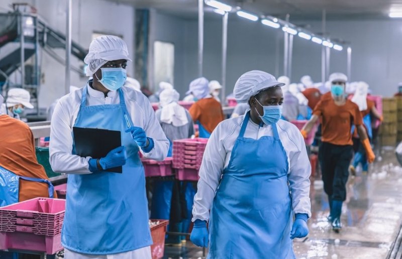 food safety systems