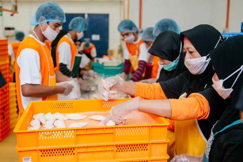 North American Halal markets