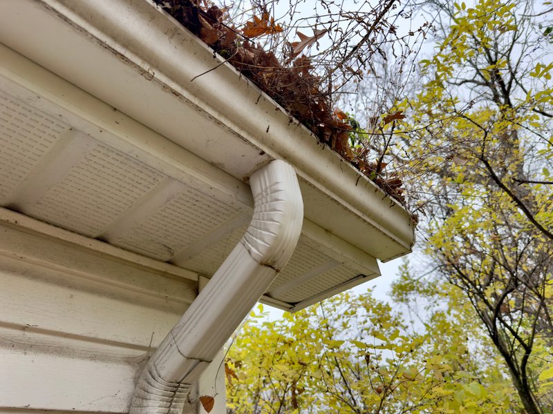 gutter maintenance