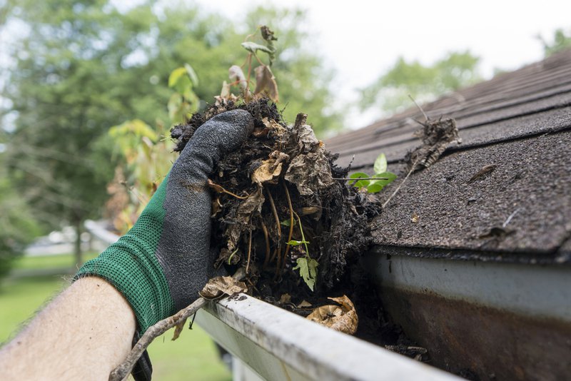 gutter maintenance