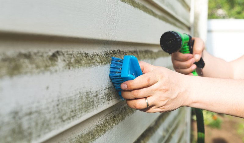 Homeowner cleaning siding to avoid unnecessary siding cost in Illinois
