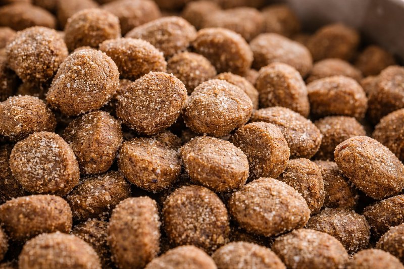 Close-up of dry dog kibble showing powder coating and processed texture.