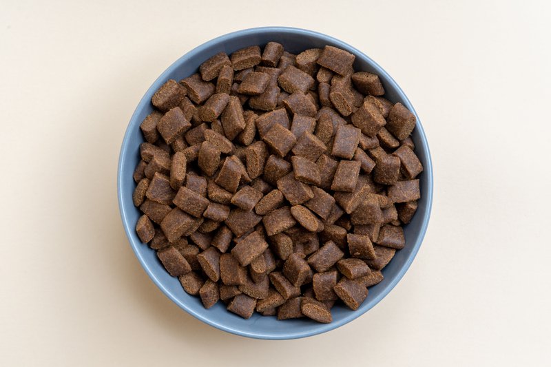This photo shows a bowl of dog food