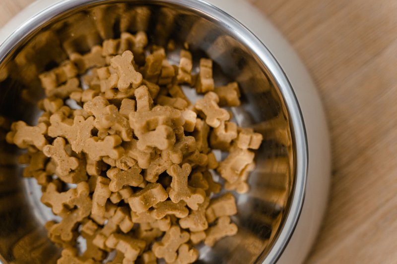 This photo features dog kibble in a bowl on the floor