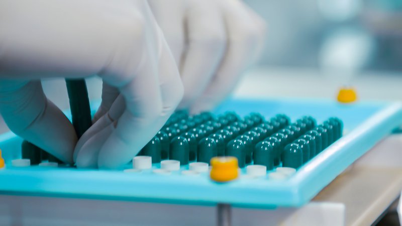 This photo shows capsules being prepared in a lab