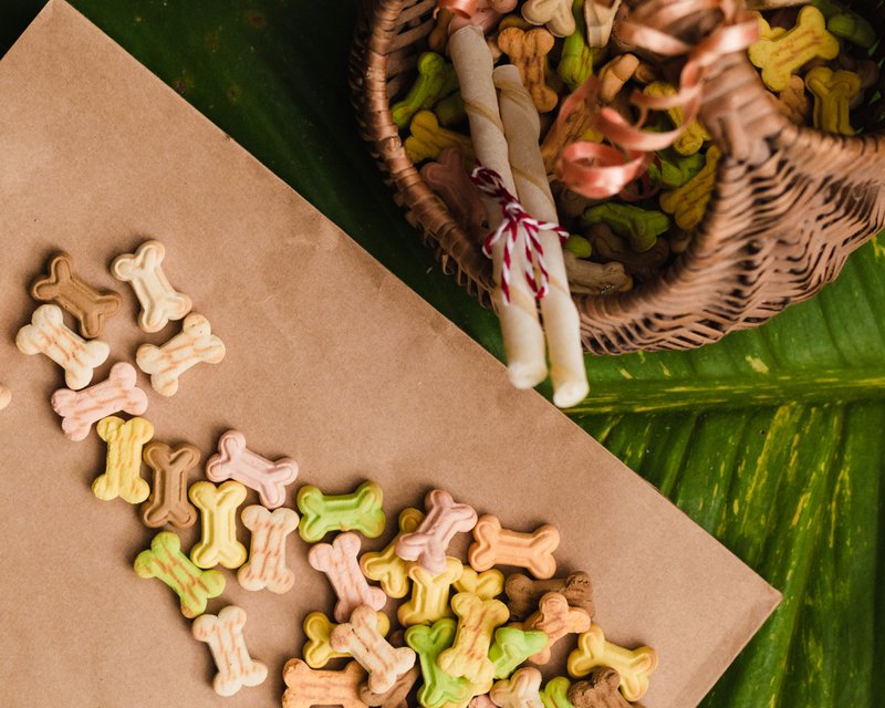 This photo features plant-based dog food from premium dog food brands