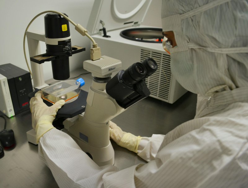 This photo shows a lab worker looking into a microscope