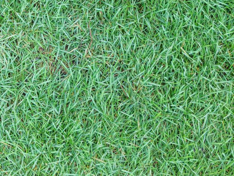 Soil drainage can depend on several factors.