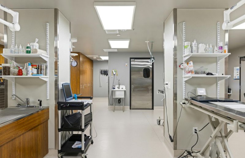 veterinary hospital design idea