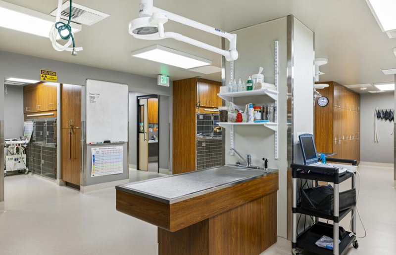 photo of an ideal veterinary hospital design