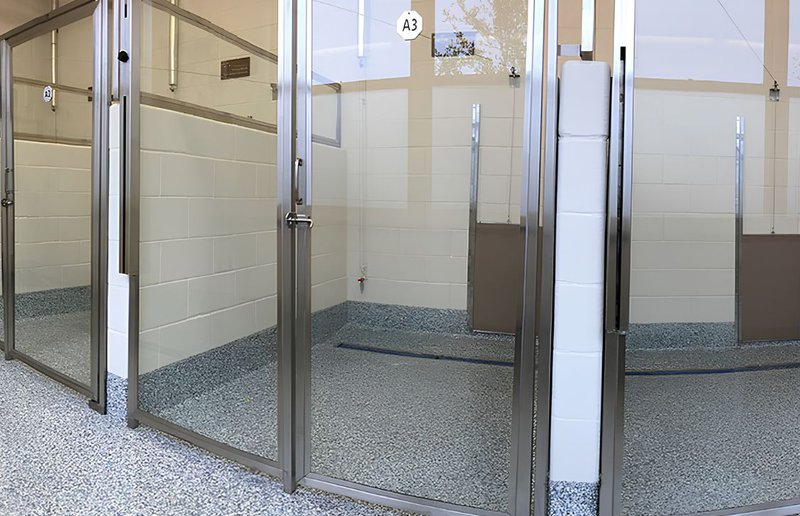 luxury kennels at vet facility