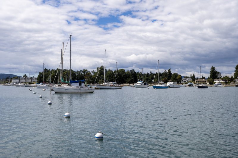 ordering mooring buoys for your marina