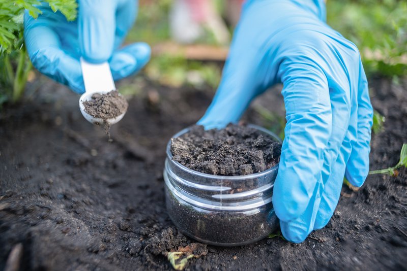 Gloved hands collecting a farmland soil sample, reflecting research into PFAS in biosolids and soil