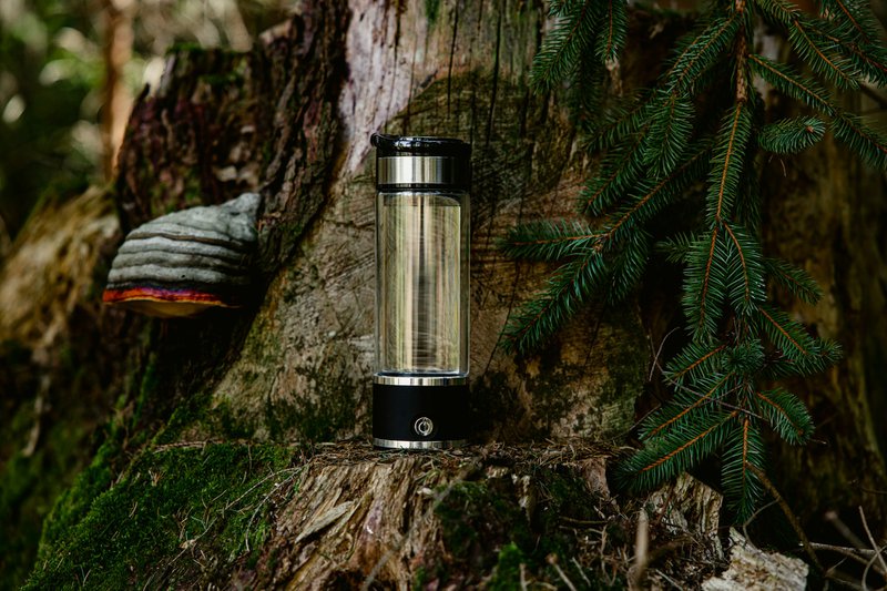 a lantern sitting on top of a tree stump 9zdv4wzzk84 b869f73b9429702b8a1d81cd235a7a05 800