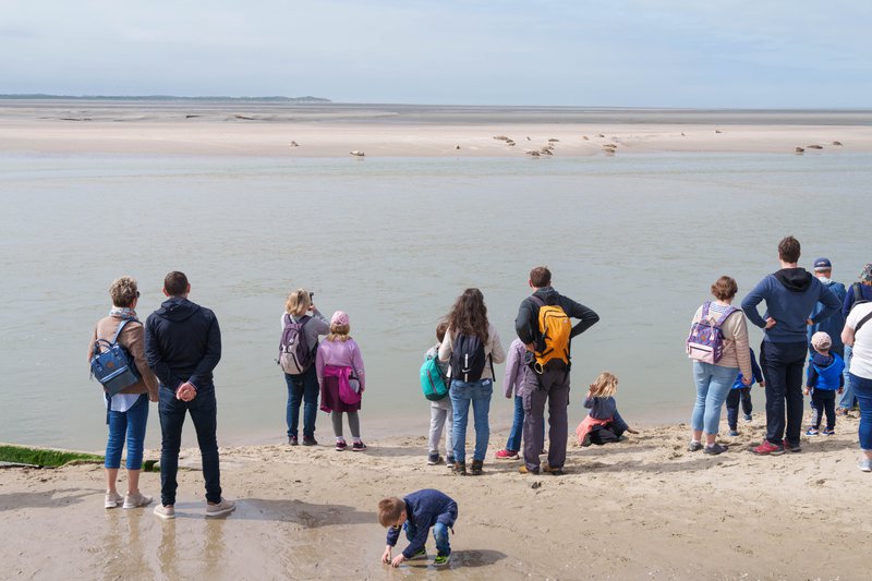 Baai van de Authie, Baie d’Authie