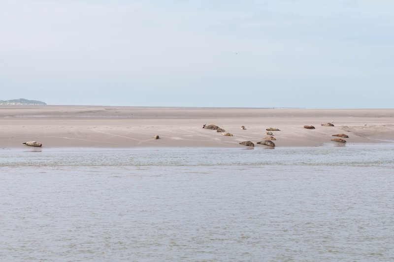 Baai van de Authie, Baie d’Authie