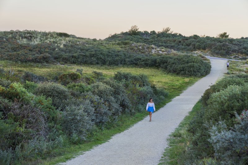 Promeneuse solitaire sur un chemin entourée de végétation.