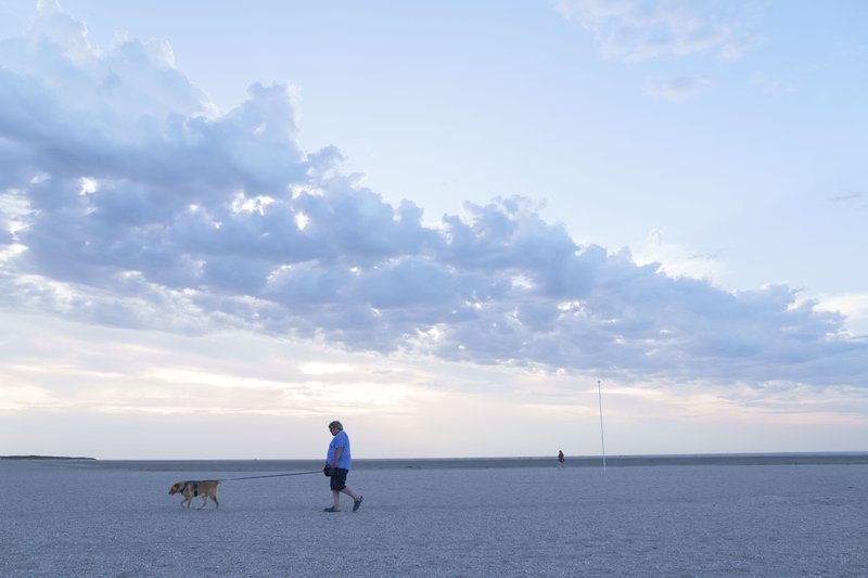 Goeree-Overflakkee: promeneur avec son chien sur une plage.