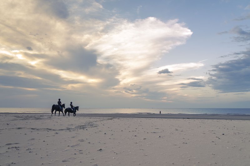 Goeree-Overflakkee, Pays-Bas: deux cavaliers à cheval sur une plage.