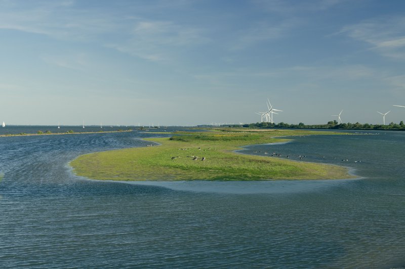 Petite île verte avec des éoliennes en arrière-plan.