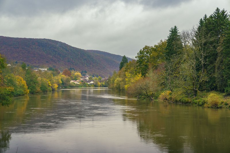 Fleuve tranquille dans un paysage verdoyant dans les Ardennes françaises.