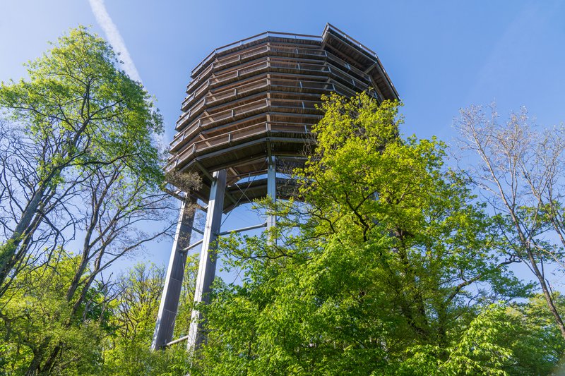 uitkijktoren tussen de bomen