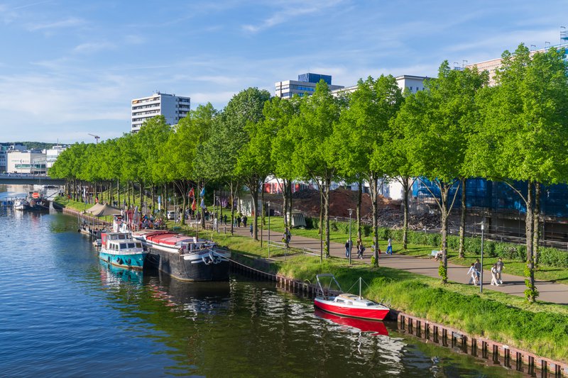 bootjes langs het water met wandelzone en bomen