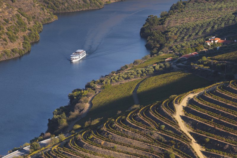 Croisieurope schip op een rivier langs wijngaarden