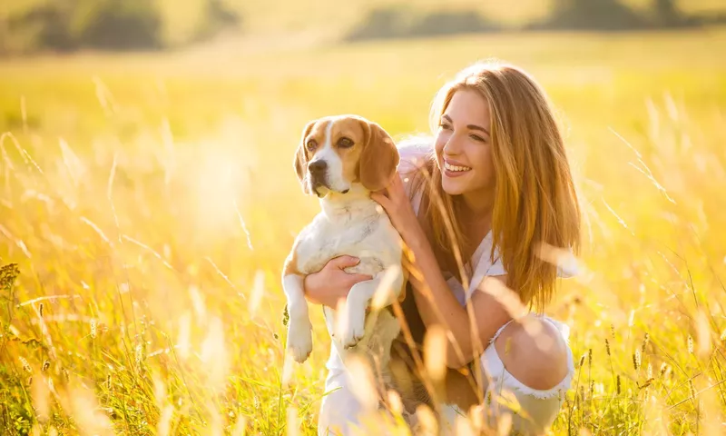 vrouw met hond in een gele weide