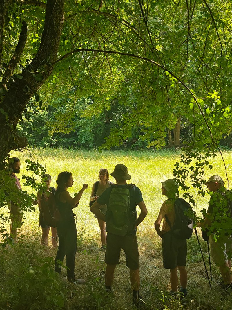 een groepje wandelaars in de schaduw van een overhangende boom