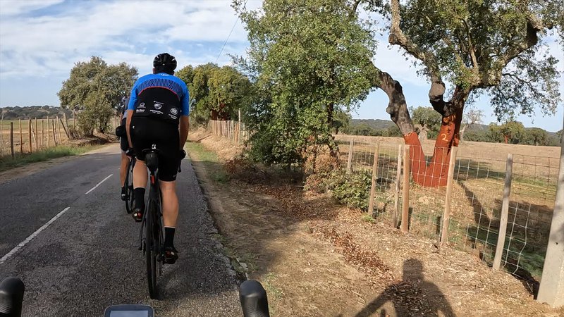 Alentejo, Portugal. Fietser van achteren op een geasfalteerde landweg omzoomd door bomen en velden.