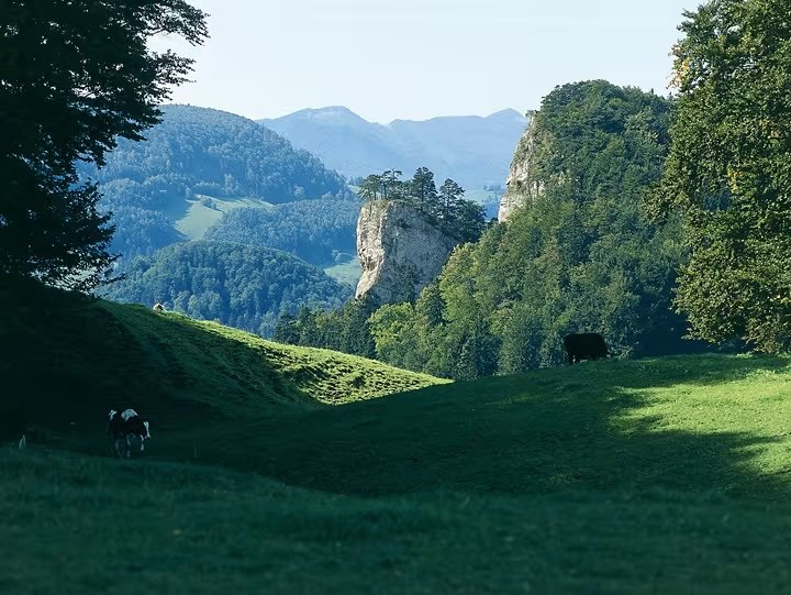 groen landschap met rotsformatie in Zwitserland